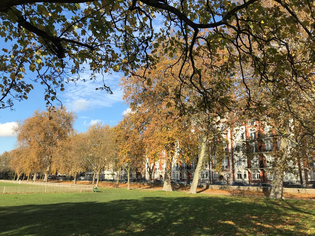 StruttsChelsea's tweet image. It may be cold but Spring is coming! #chelseasw3 #Chelsea #spring #chilly #sunshine #bright