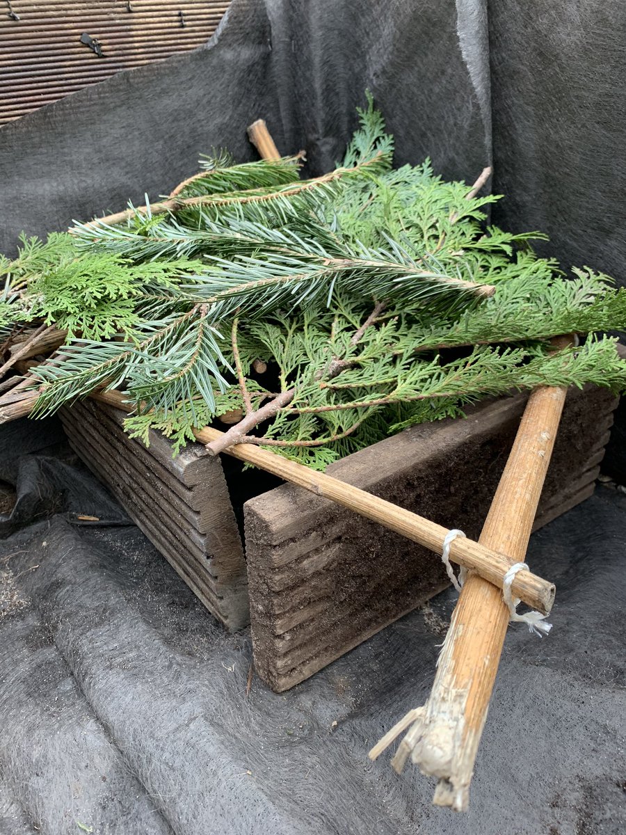 The Big Bad Wolf is back in town. Grade 1s are making wolf proof houses to protect the Three Little Pigs <a href="/OLEISD/">ISD Outdoor Learning</a> <a href="/isdedu/">International School of Düsseldorf</a> #WeAreISD