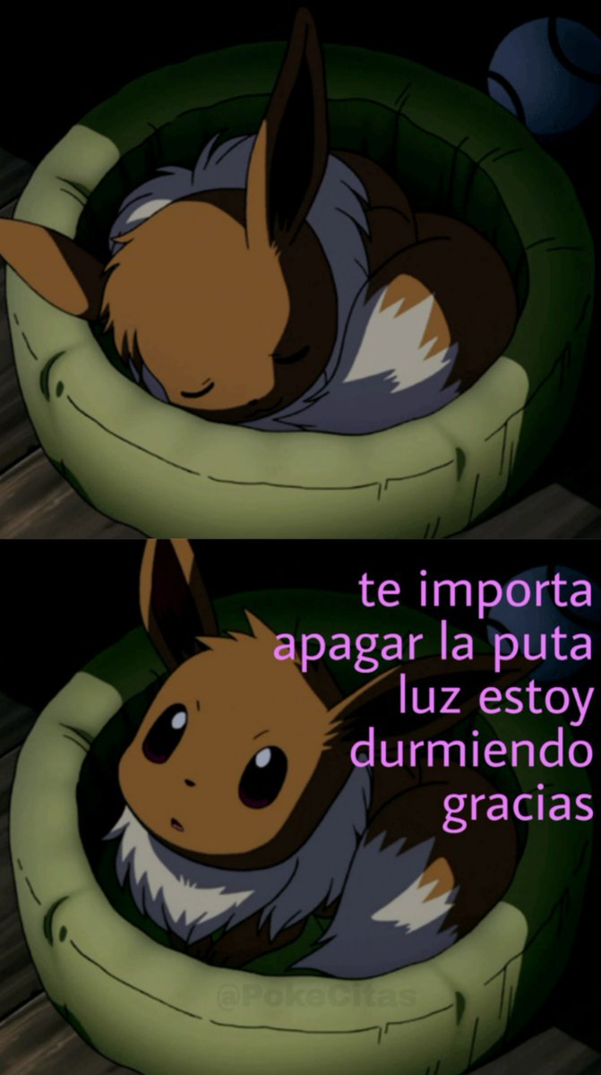 Memes Pokémon (@pokecitas) on Twitter photo 