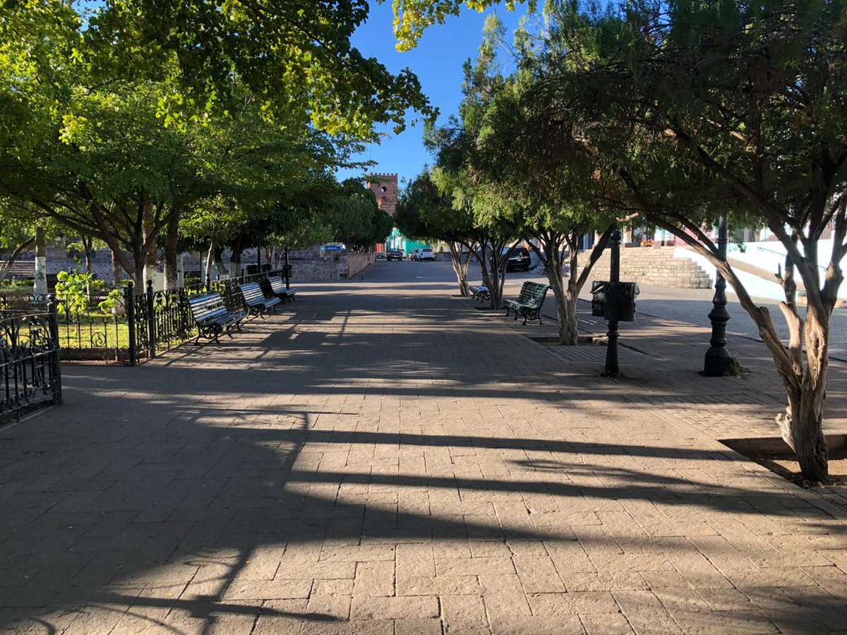 ClaudiaPavlovic's tweet photo. El #FAOT2020 fue todo un éxito, y #Álamos quedó limpio y listo para seguir recibiendo turismo de todo el mundo. 🙌🏻! #ÁlamosLimpio. https://t.co/V9SrcwY0NS