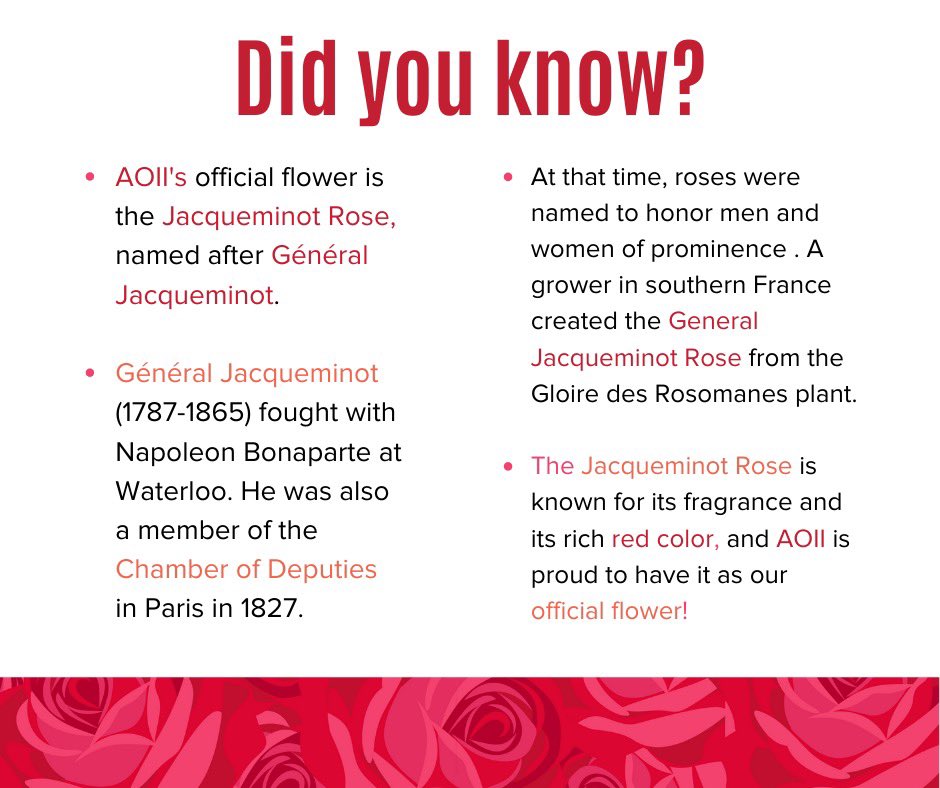 Have you ever wondered where AOII's official flower originated from? Check out these fun facts on the origin of the Jacqueminot Rose and the historical figure behind its name ❤️🌹