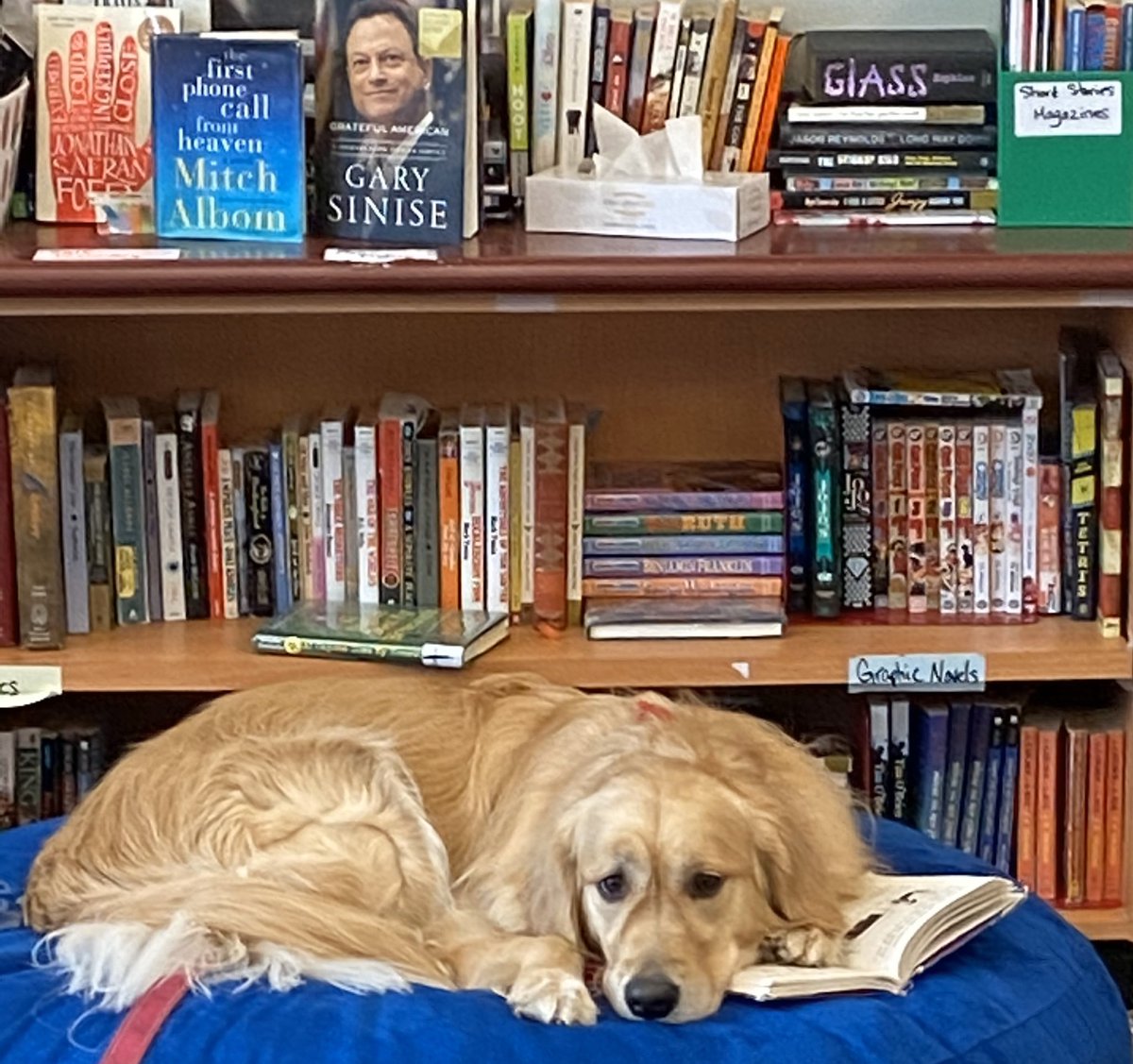 Terrific Tuesday for Reading ❤️ <a href="/chris_nevolo/">Chris Nevolo</a> <a href="/scotthade/">Scott E. Hade</a> <a href="/TanyaEMcDonald/">Dr. Tanya McDonald</a>