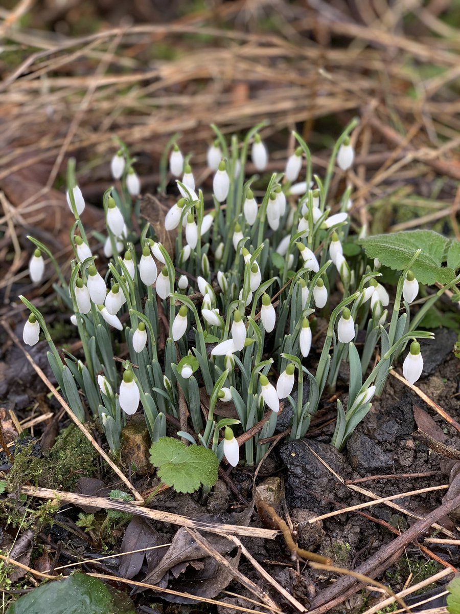 Spring is round the corner!