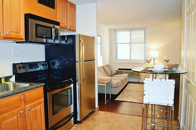 When you finally find a studio apartment that is just as large as a 1 bedroom!!! #winning #studioapartment #1500locust #bozzuoliving #apartmentdecor #phillyapartments #visitphilly #studio #cityliving