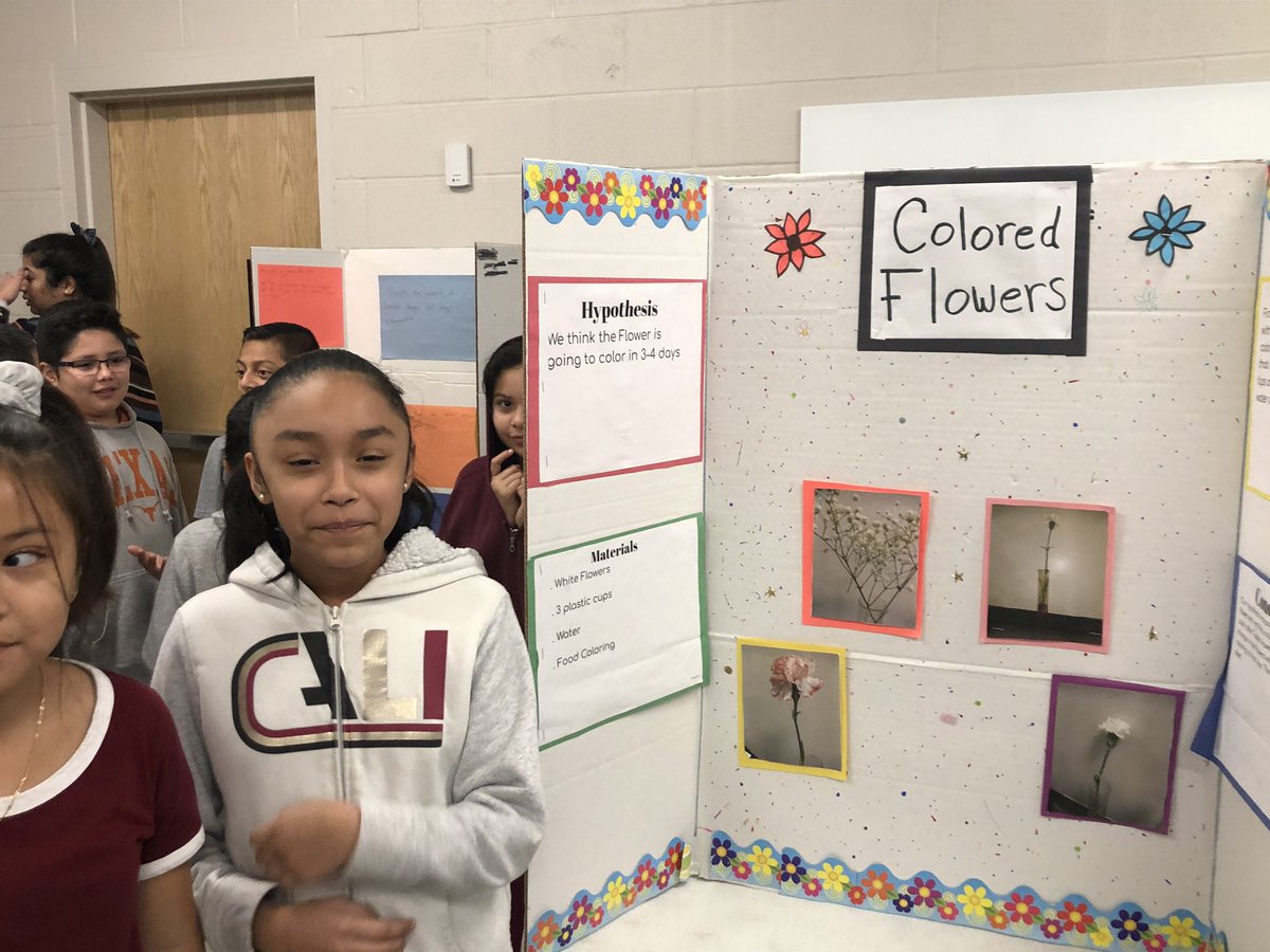 RobPrice2017's tweet photo. Science Fair presentations! https://t.co/vHJBhVWgcf