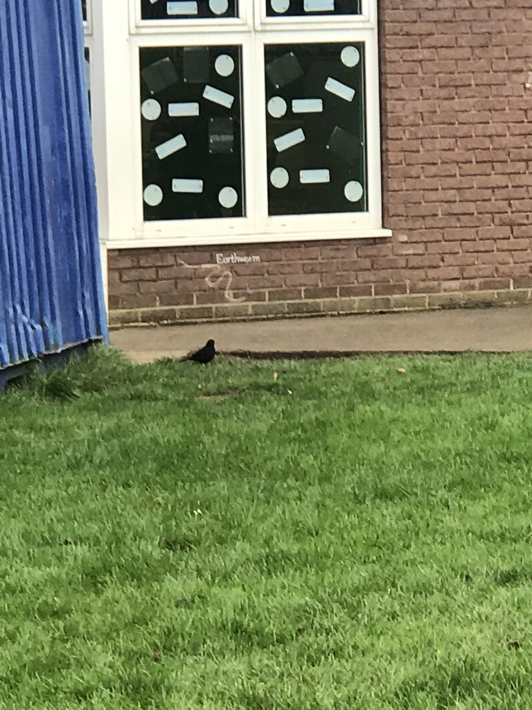 scps_foundation's tweet photo. Fs2 ‘big bird watch!’ #springcottageforestschool #springcottageeyfs #thebigbirdwatch https://t.co/aPWeu52fra