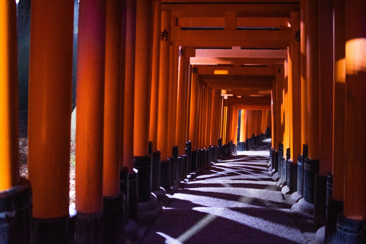 halu_n2n's tweet photo. @upwordrise @up_photo_theme 早朝の伏見稲荷
#伏見稲荷大社 #fushimiinari #kyoto #placeofworld #redfoto #japanese #torii #京都 #光 #写真好きな人と繋がりたい #japanication #japan #photograghy #fox #shrine #発達障害 #カメラマン https://t.co/Fomcxh30DA