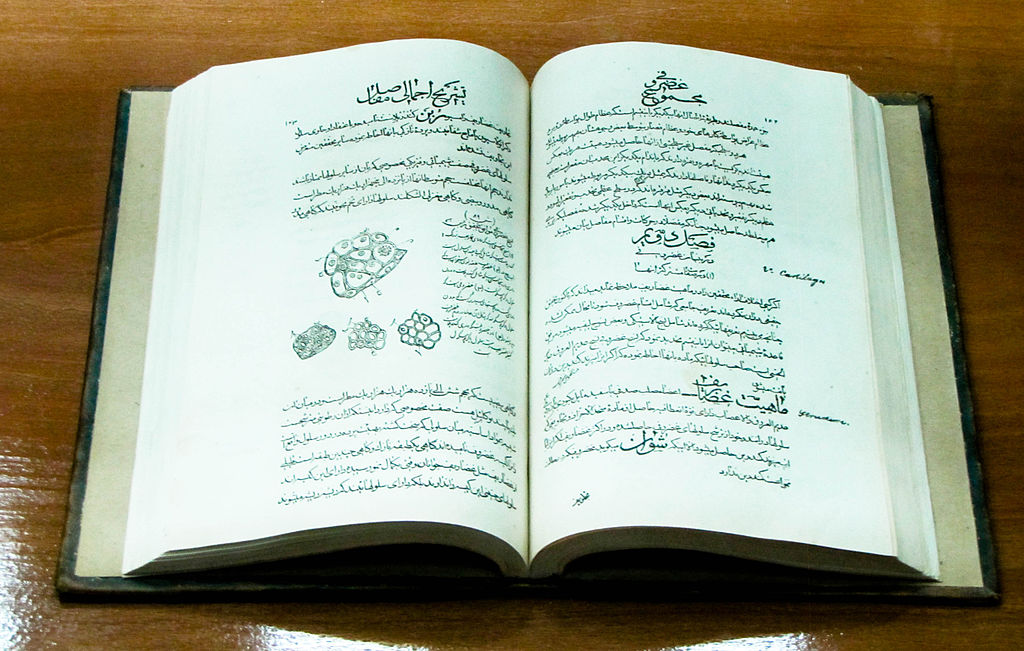 Persian version of "The Canon of Medicine" located at tomb of Ibn Sina in Hamedan, Iran.Beautiful.