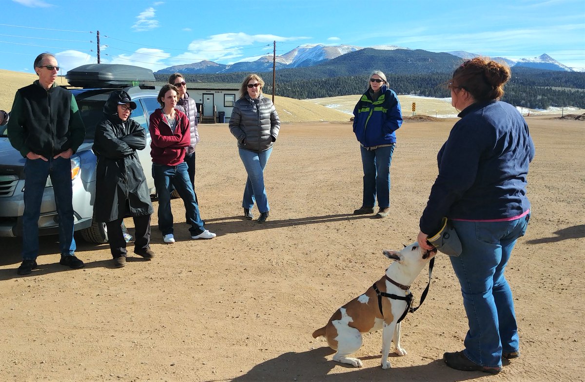 TCRAS's tweet photo. Thank you to our friends at All Breed Rescue &amp; Training for helping our staff learn some techniques to work with dogs experiencing reactivity! Like Gloria - a great dog, available for adoption, who responded SO WELL to training! #TCRAS @ABRTColorado #doglove https://t.co/eJQRygD80T