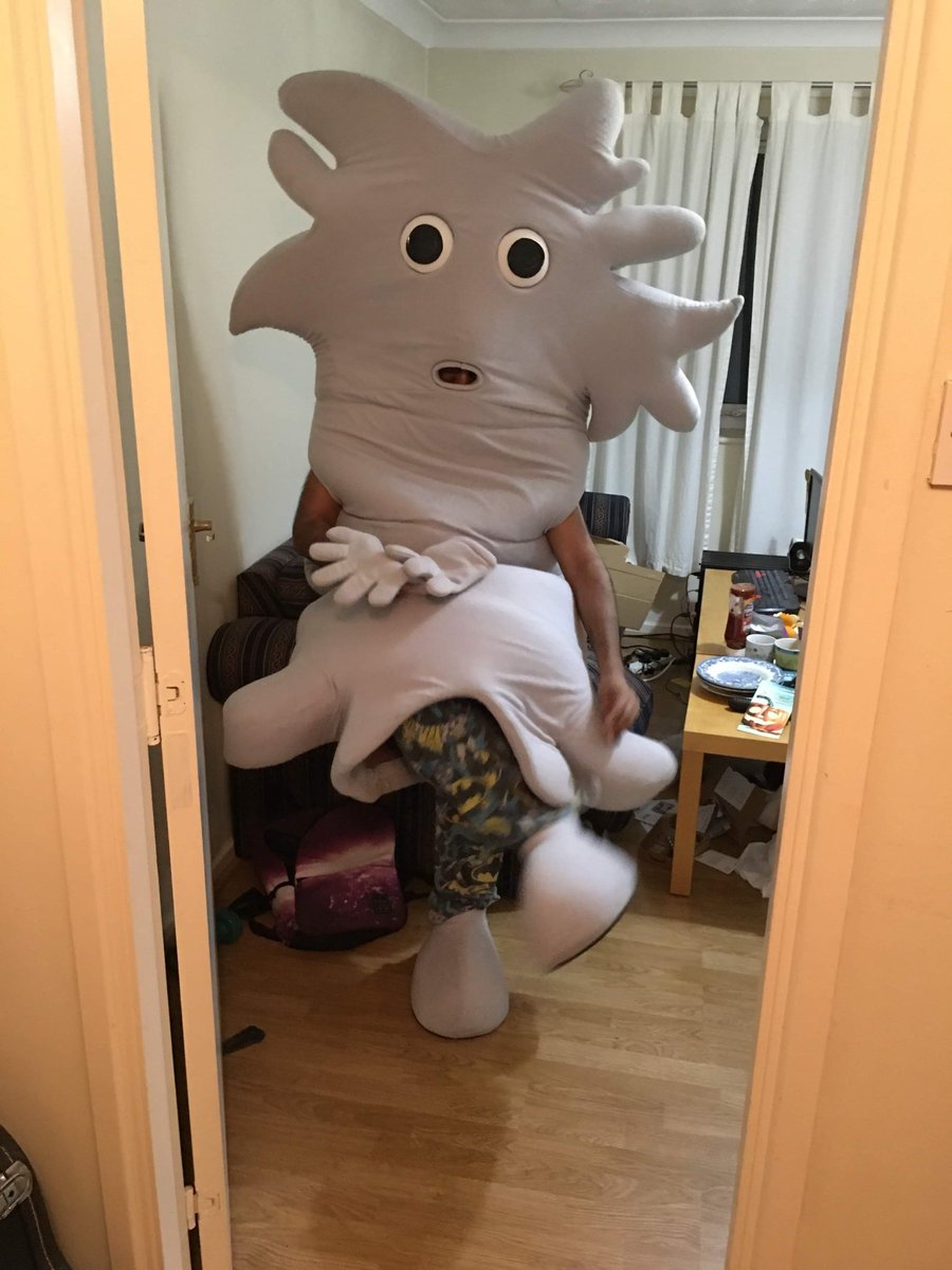 Preparing for my talk on Thursday on glia cells. Panicking and excited. I have so much left to do, including writing the talk. Hopefully I can make a talk on glia exciting and understandable for year 10 students.
Also looking for an excuse to wear the neuron costume.