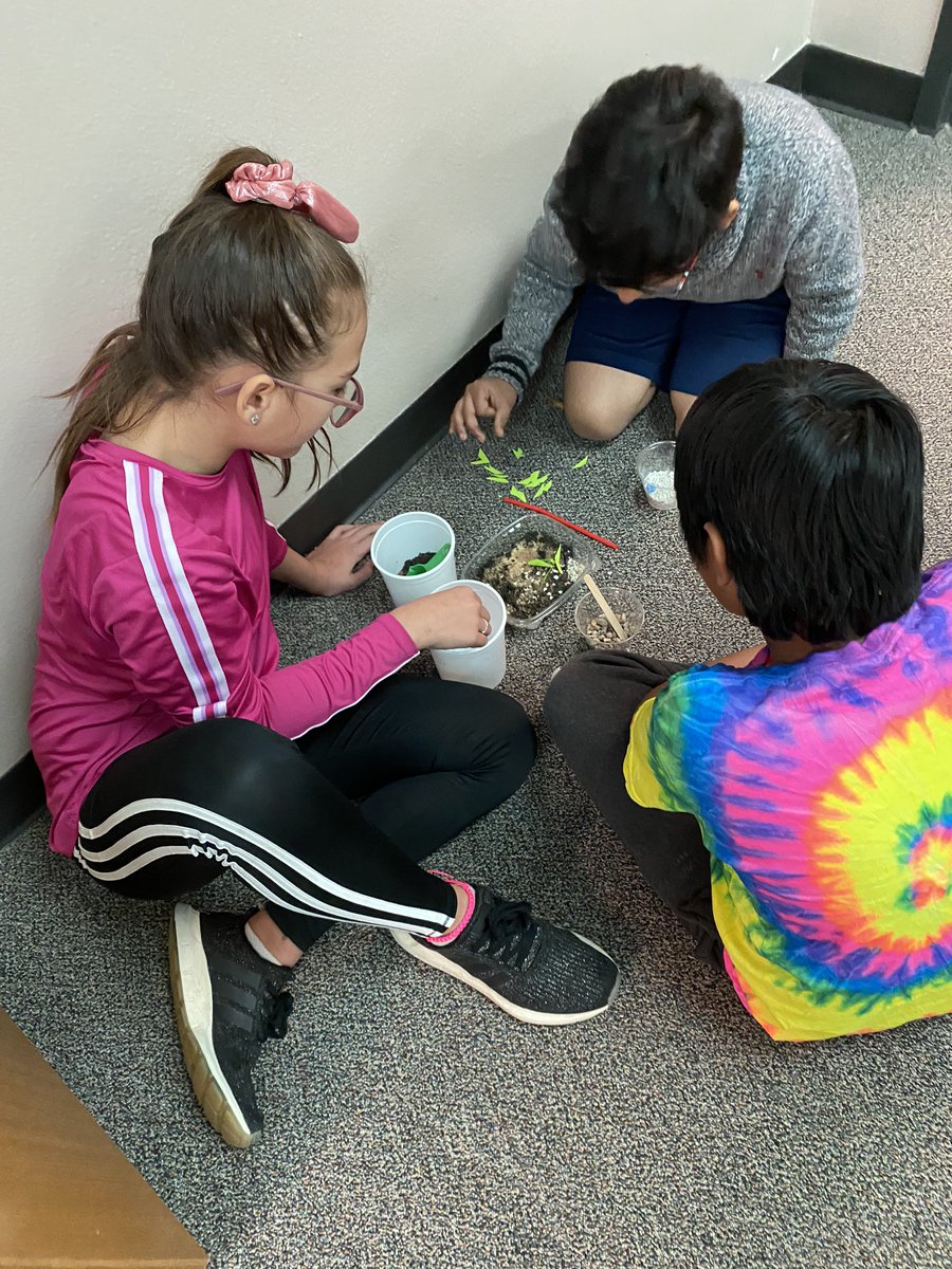lindsayregehr3's tweet photo. Today was super busy and lots of fun learning about fossils and creating their own sedimentary rocks. #TheGreatestParkside @Parkside_ES #lisdelemscience https://t.co/H32V7LbT5S