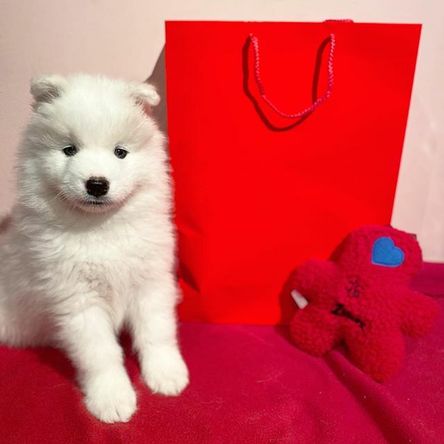 Zephyr (Red Boy) is off to his new Forever Home today! 🐾❤️🐾