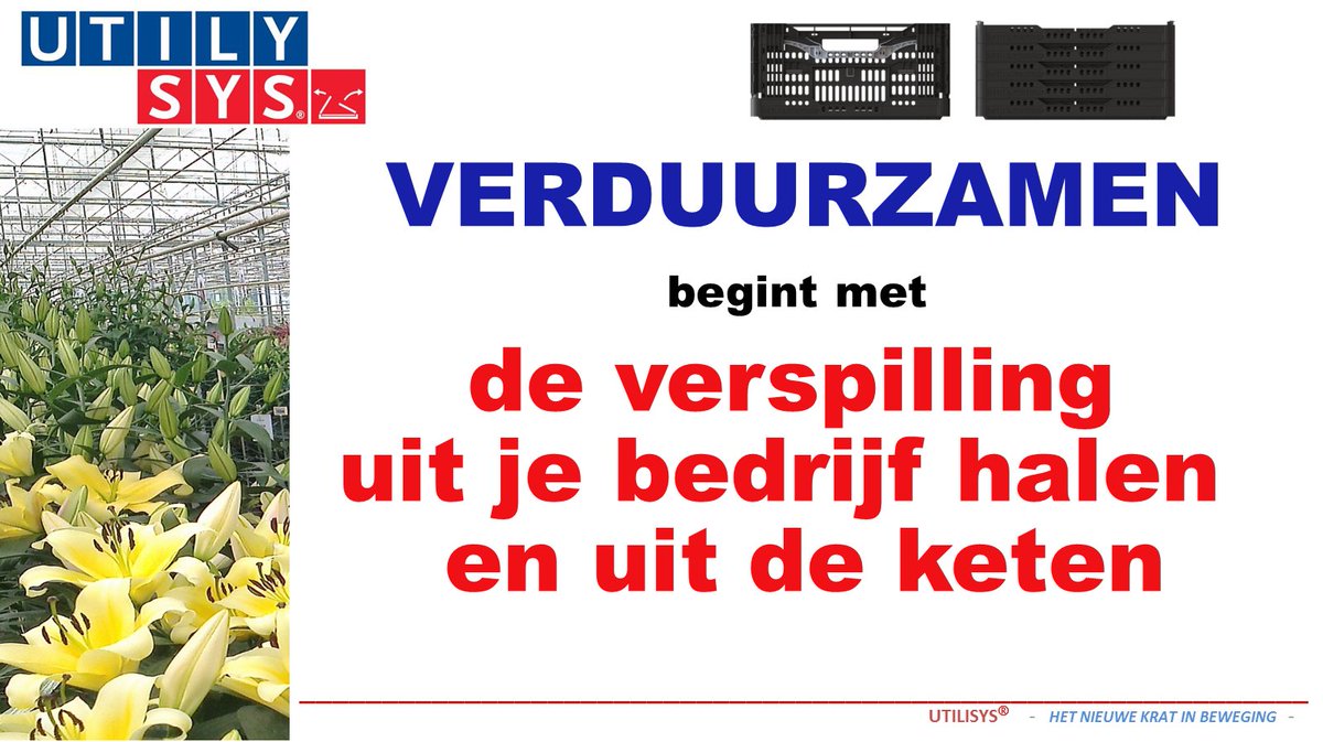 Utilysys's tweet photo. Ontdek hoe eenvoudig het is om te verduurzamen met retourverpakking. Utilysys® inklapbare leliekratten besparen 80% volume in ingeklapte vorm. Ga naar @Vankrimpenbv in hal 6 stand C39 op #ipmessen2020 https://t.co/m5Cm8rCWN7 https://t.co/4GTYTe95Iu