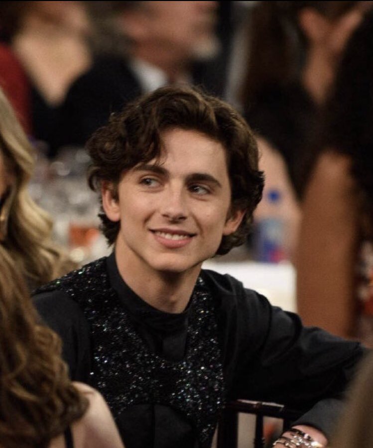 mintyhollander's tweet photo. dropping timothée chalamet’s smile on the timeline https://t.co/2SUbr0uzil