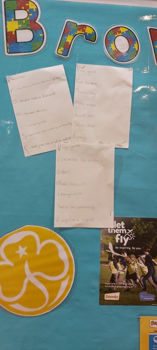 MORPETH DIVISION Girlguides tweet media