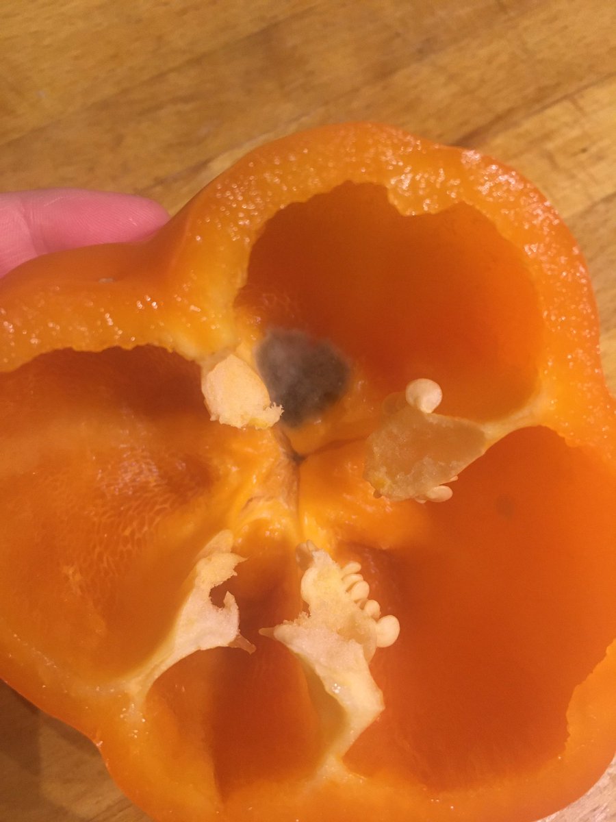 olivia_reilly's tweet photo. @sainsburys bought a pack of peppers literally an 30 mins ago, cut open and there is mould!!!! Extremely disappointing https://t.co/oOUPBMemSE