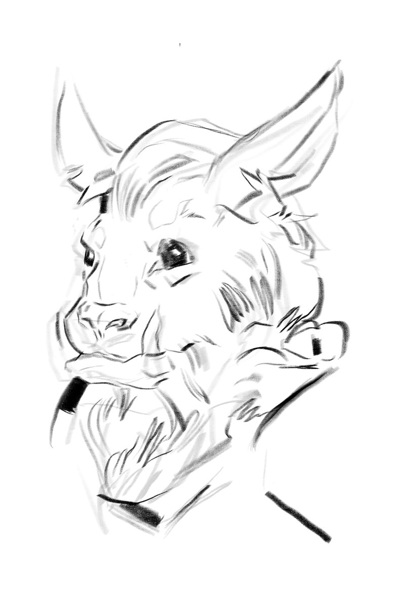 Sketched some characters from my Dnd campaign 
