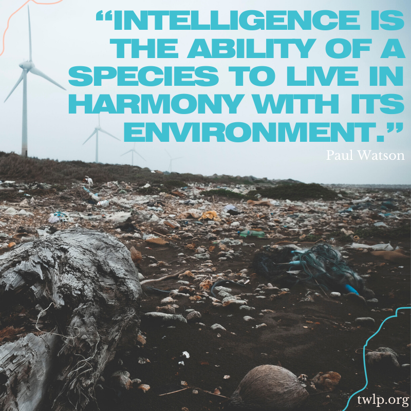 twlp_org's tweet photo. We need to take another look at what we deem intelligence and we need to recognise that, whatever our definition of it is, intelligence level should not correlate with one's worth of fundamental rights.
#roseslaw #quote #activist #activism #vegan #veganism #animals #animals #twlp https://t.co/atk7UppJnH