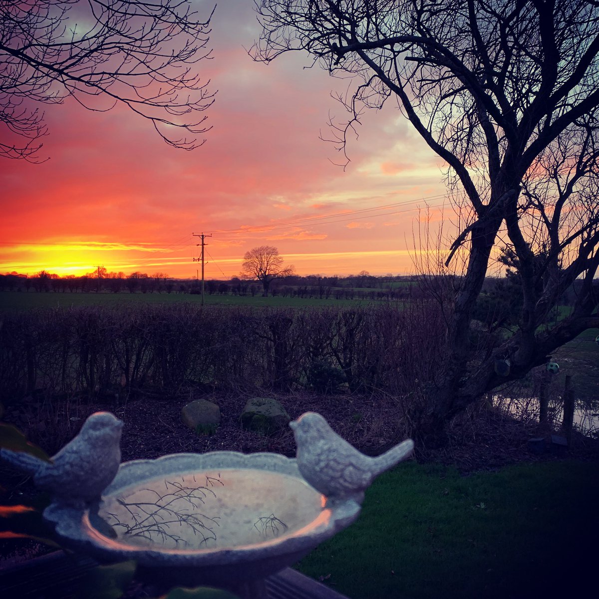 ViewSolway tweet picture