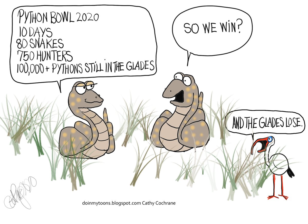 CathyCochrane1's tweet photo. #Python, #PythonBowl https://t.co/ixqLAvIjpI