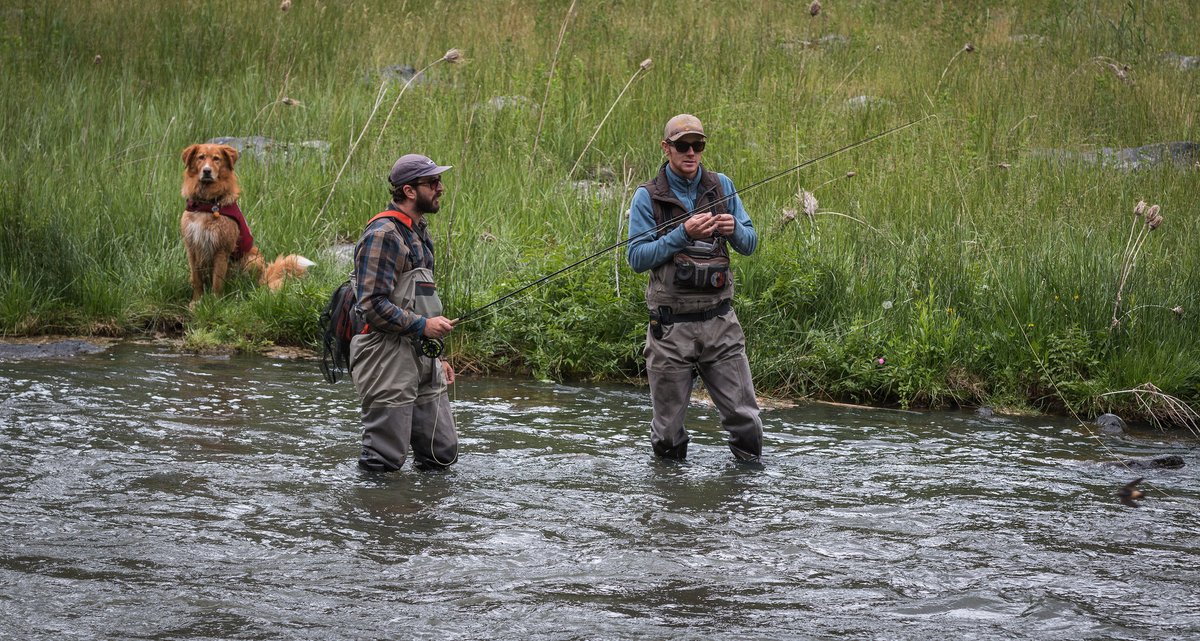 Two men in waders stand in shallow water fishing with poles while a dog sits on a grassy bank nearby.