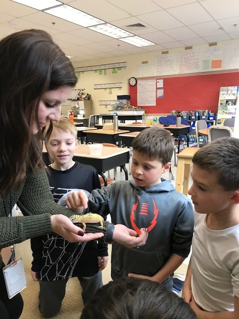 stimsonk's tweet photo. Ask me all about Mrs. Quint's gecko.  We had a great visit with him this afternoon.  #newhtfd https://t.co/I59UpubvSp
