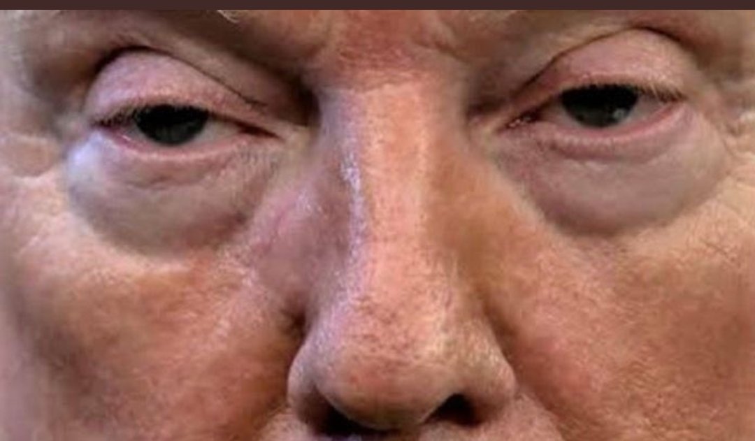 TwinkleNettie's tweet photo. @reallyrealJess @johndshabe @JessicaRemoNJ @njdotcom #AdderallTrump #DementiaDonald #DonnyWearsDepends #25thAmendmentNow #ImpeachedForever #MushMelon #Presidementia #PutinsPuppet #DonTheCon #TRUMPCAMPS #PutinsBeyotch #EmmyLessLoser https://t.co/gWbHMOblLr