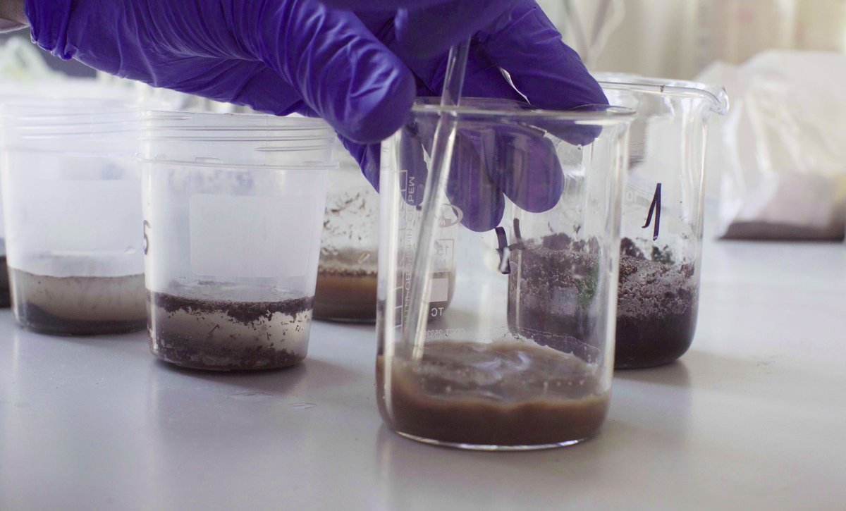 JenelleTodman's tweet photo. Soil is tested in order to understand the properties of the soil. #bcn2210 #fiu #fiumossschool #construction @FIU_MossSchool https://t.co/QjM3P1C88M