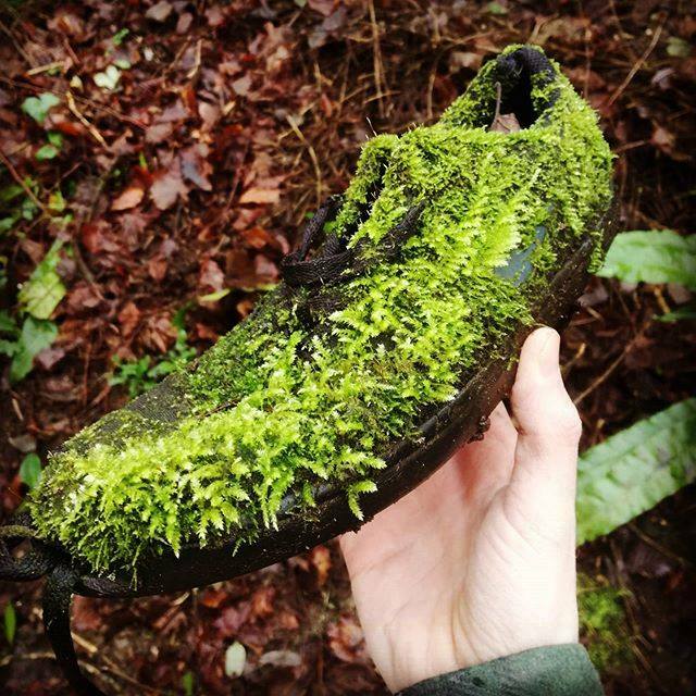 dorsetstone's tweet photo. If only I could find the other one! Would really complete my look . . #nike #justdoit https://t.co/thI7G5Sdqo https://t.co/XXBgMFU2rB