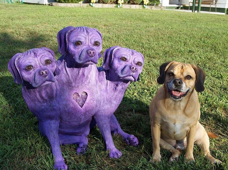 JimmyMcKenzie's tweet photo. One of my favorite sculptures was this three headed Gordo I made for my actual dog Gordo so that he could have brothers to hang out with. When it was finished Gordo just sniffed it, realized it was not eatable, and walked away. #kinggordo #FatPuggle #sculpture https://t.co/YgWlEXuFzS