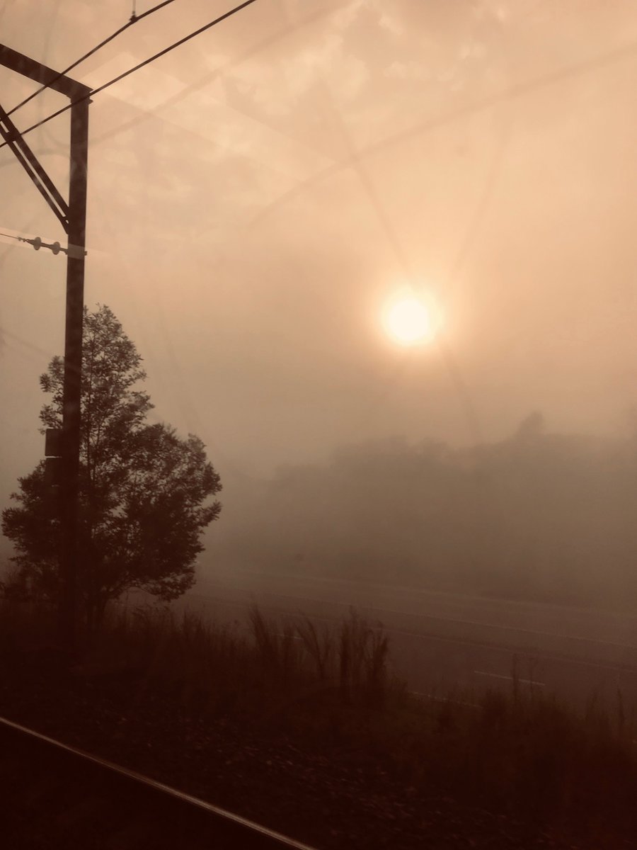 Misty mornings. Hot nights and early morning rain have been creating some enchanting weather alchemy. #seasons #BlueMountains #summer #fog #mog #mist