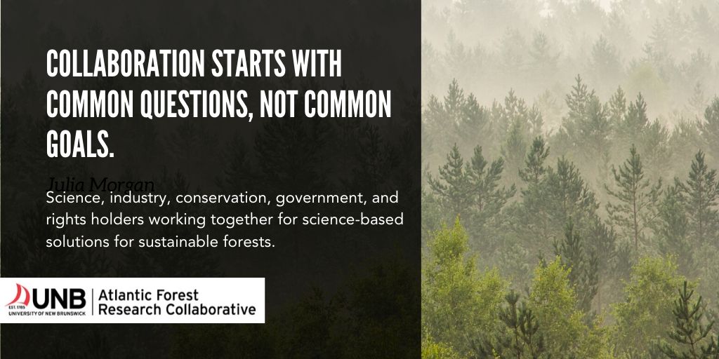 When forest stakeholders work together to find science-based answers to common questions, we all win. Meet the Atlantic Forest Research Collaborative unb.ca/afrc #forestry #collaboration #NewBrunswick