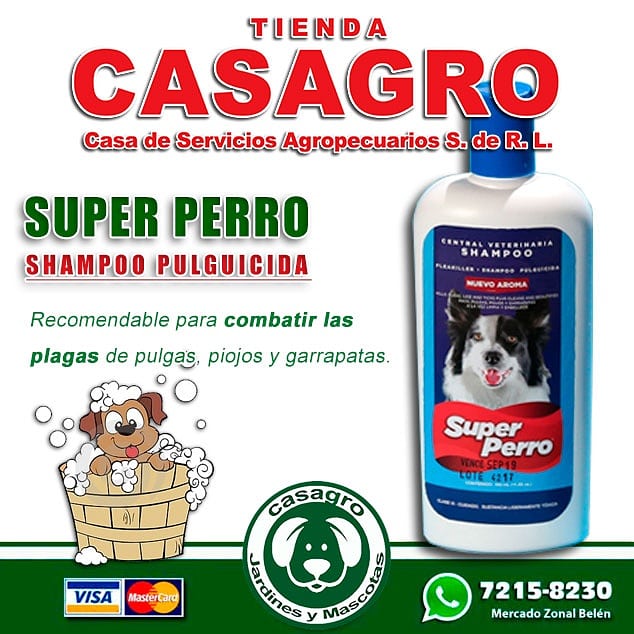 casagrohn's tweet photo. Nos acaba DE LLEGAR a nuestra Tienda #CASAGRO los Jabones y Shampoo de la línea SUPER PERRO

Recomendados para combatir las plagas de Pulgas, Garrapatas y Piojos en perros. https://t.co/bP6BJKLUj4
