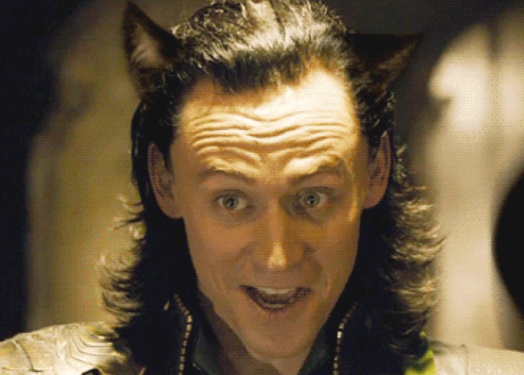 CatsHiddleston's tweet photo. ๐โค๏ธ #TomHiddleston #Hiddlestan #hiddlescat #hiddleskitty #hiddlesloki #hiddles #cathiddles #lokitty #LokiSeries #lokiday #loki #lokicat https://t.co/Xp2bFSRILH