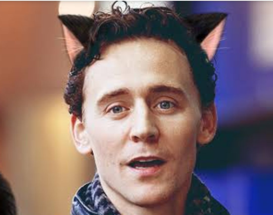 CatsHiddleston's tweet photo. ๐โค๏ธ #TomHiddleston #Hiddlestan #hiddlescat #hiddleskitty #hiddlesloki #hiddles #cathiddles #lokitty #LokiSeries #lokiday #loki #lokicat https://t.co/Xp2bFSRILH