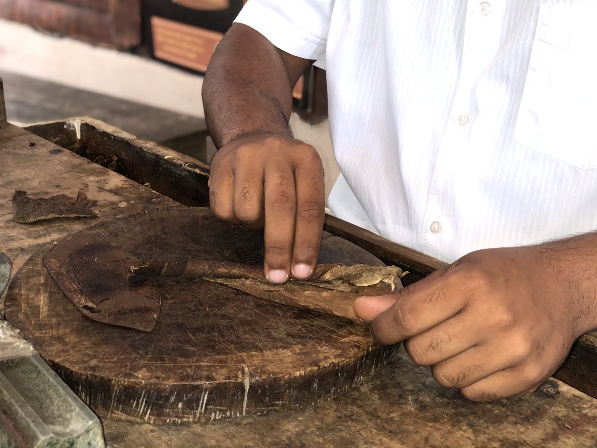 ¿Viaja a Punta Cana? Obtenga más información sobre #theRealDR y disfrute de una experiencia divertida en Outback Safar reservando en insidesalespuj@amstardmc.com