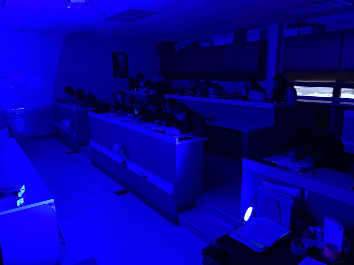 BaileyPhys's tweet photo. Can you sort the candy?   It’s not so easy with only 1 color of light in the room.  #physics #color #RCSDPIRATES https://t.co/RiKImoACR4