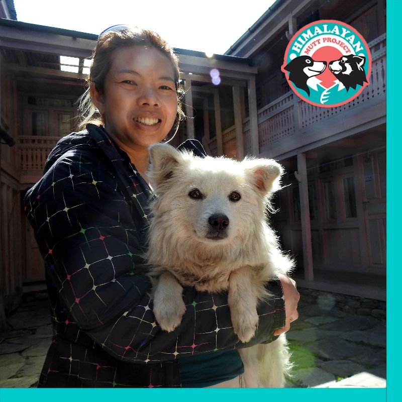 HimalayanMutts's tweet photo. They don't teach this in vet school! What it's like for a vet with the Himalayan Mutt Project. 👩‍⚕️ - https://t.co/vmB9SPMyoe https://t.co/49KVC5z0Bz