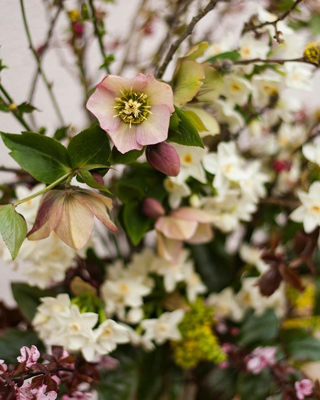 Day 27’s question- What do you do aside from flower growing, how do you switch off? 
Growing and arranging flowers for events is all consuming as I want to provide the best experience for my customers and create something unique for them. 
Beside the phy… ift.tt/2uBkBDP