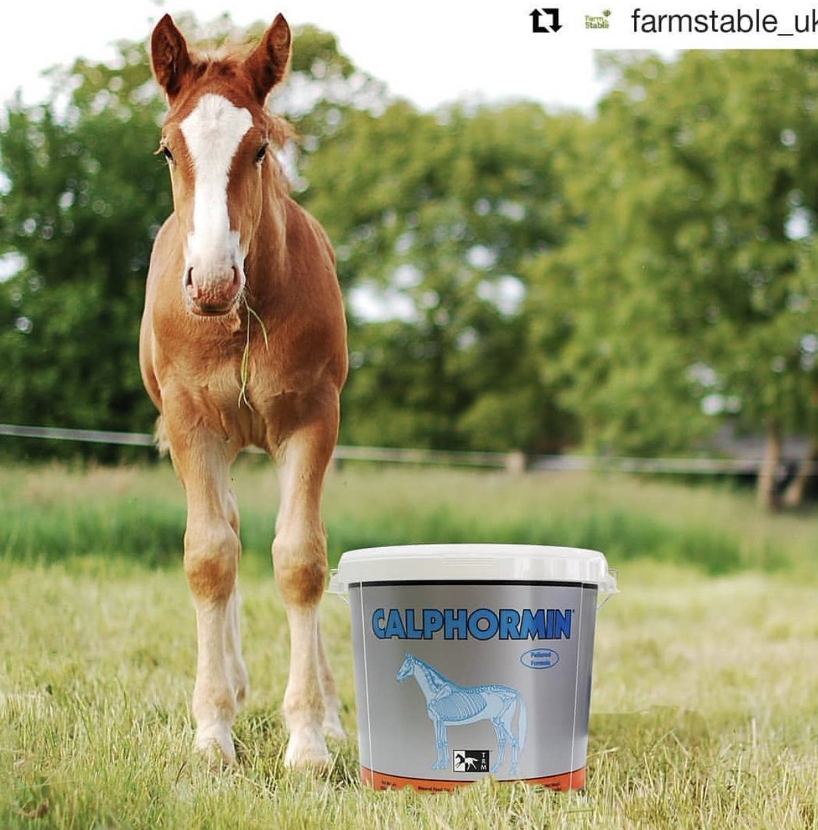 للوصول الى النجاح يجب أن تبدأ مبكرآ بالإعداد 

f1horse.com