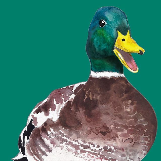 crabapplemoon's tweet photo. I've been working away on some more designs for my new range of cards today.  I'll be quacking on for the rest of the week to get them finished 🦆 #punderstorm https://t.co/EGBAr44nTK https://t.co/QxZHXHlw2P