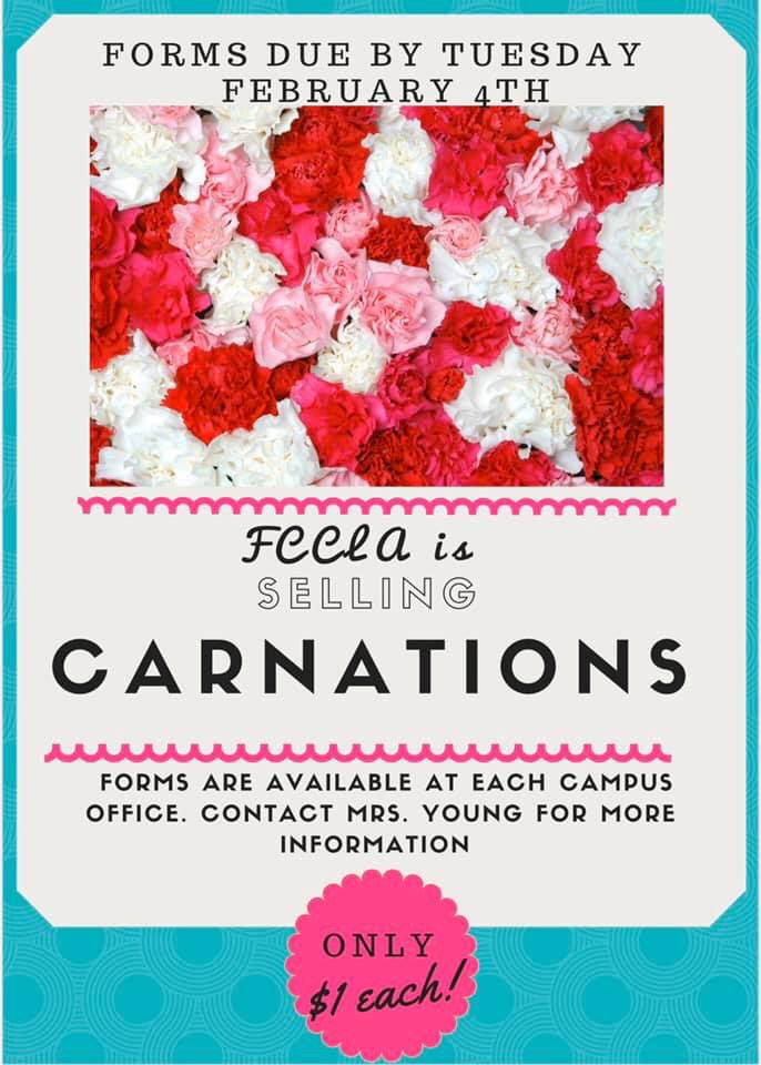 CommunityFccla's tweet photo. CARNATION CARNATIONS!!!!!! BUY SOMEONE A CARNATION THIS UPCOMING VALENTINES DAY!!!!! ONLY $1 AND FORMS WILL BE DUE FEBRUARY 1st!!!! @communityisd @CHSBraveNation https://t.co/t6VvBLI3Kb