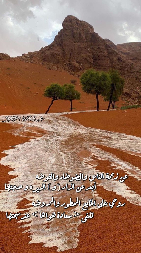 ﮼W✨ tweet media