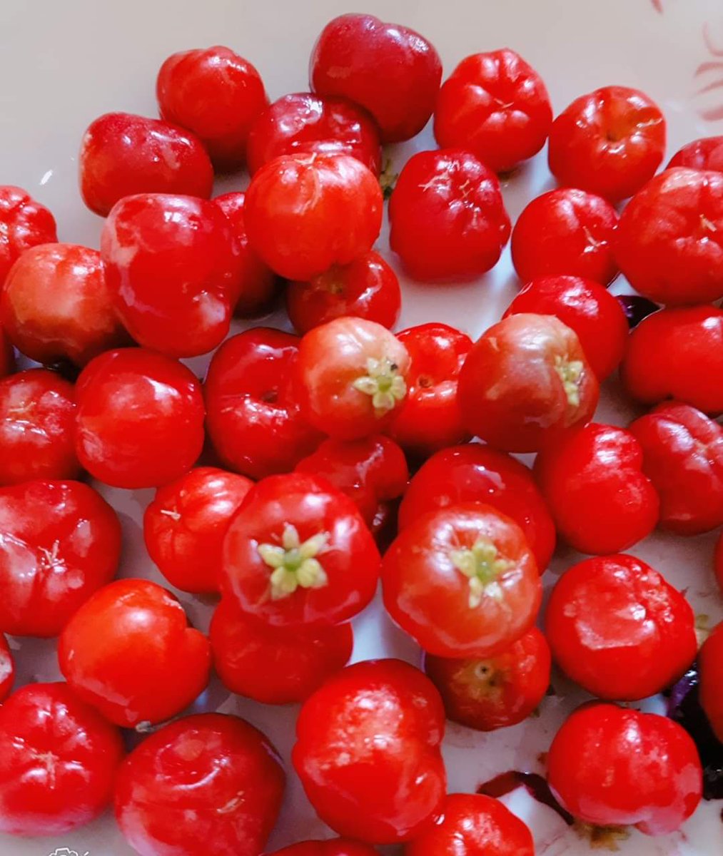 M0cupe's tweet photo. Deliciosas cerezas 😋😋
#mocupe #peru #mundop https://t.co/MvY2yHGPc0
