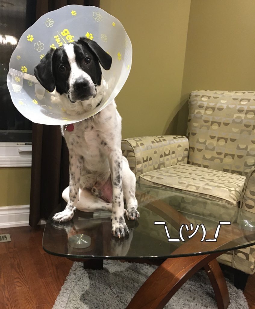 Micky Mickelodeon with Cone