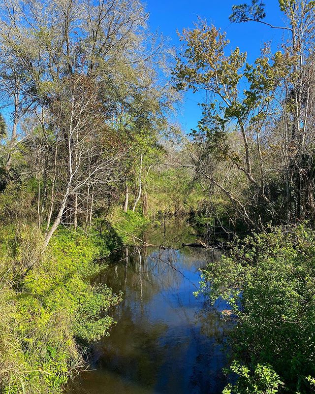 Jodicab22's tweet photo. Lunch walks are better than office life. #halffacedselfiebutblonde #funeralformyfat

📸 https://t.co/hqMav2qGYb via https://t.co/5ttQiDWlXB https://t.co/HbflehiseF