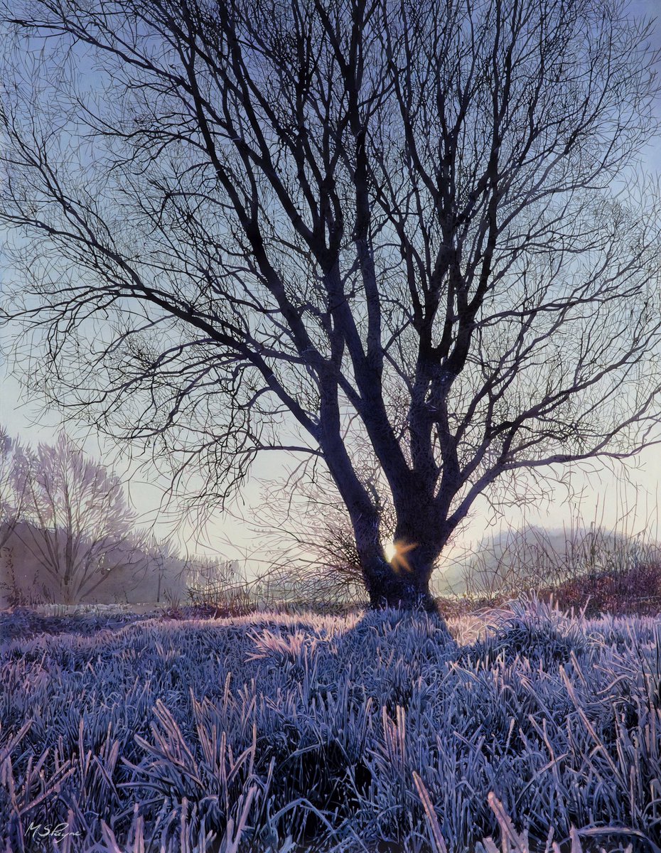 Brand new works by Mark S Payne are now available in the gallery. 

carnesfineart.com 

#art #artforsale #originalart #fineart #oilpainting #Landscapes #Nature #Trees #Countryside #Winterwatch #wildlife #Mawdesley #Lancashire #Ribblevalley #Cumbria #Cheshire #Yorkshire