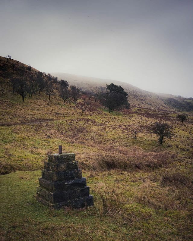 omantle_photo's tweet photo. Whita Hill, Langholm, Scotland.
Taken with @lumixuk GX80 + 12-35. #langholm #dumfries #galloway #dumfriesandgalloway #scotland #hillclimb #malcolmmonument #fog #mist #drizzle #johnmalcolm #scotlandgreatshots #uk #southernuplands #carlisle #microfourthi… https://t.co/eIFOPXXG15 https://t.co/i4QbYMhovO