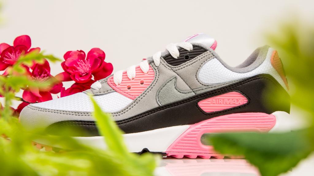 champs sports air max 90