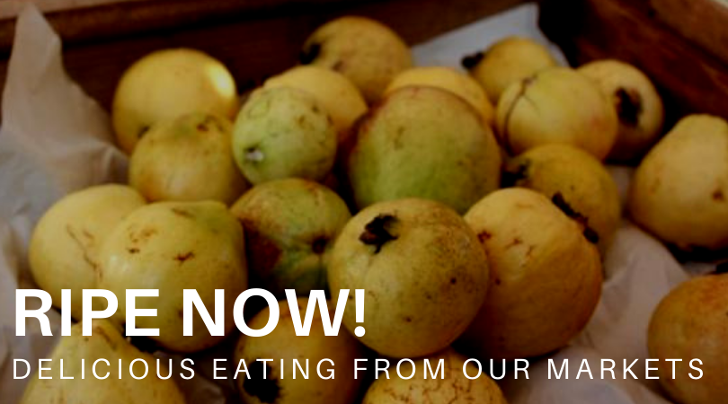 What's in season at market? Read the latest Ripe Now! Newsletter in full here: buff.ly/2RzOc9W and stay in touch with what's new at market by subscribing to the Ripe Now! Newsletter here: buff.ly/3163Psz